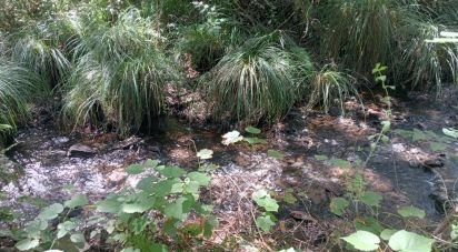 Gîte T0 à Pedrógão Grande de 50 m²