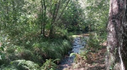 Gîte T0 à Pedrógão Grande de 50 m²