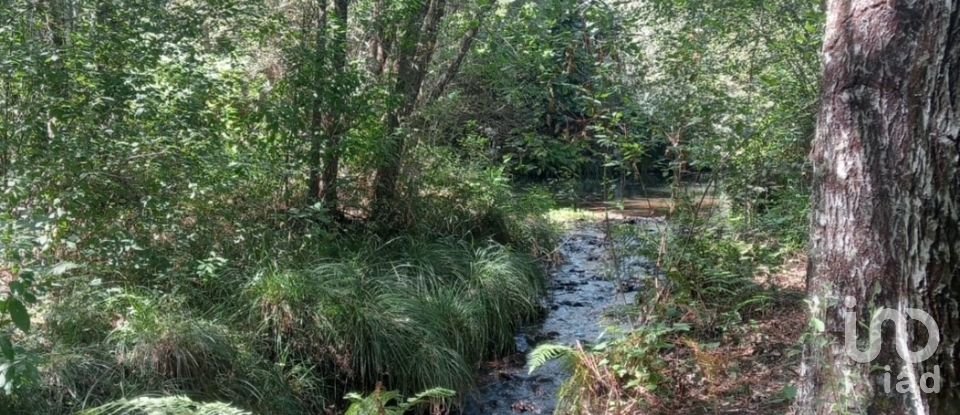 Lodge T0 in Pedrógão Grande of 50 m²