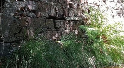 Gîte T0 à Pedrógão Grande de 50 m²