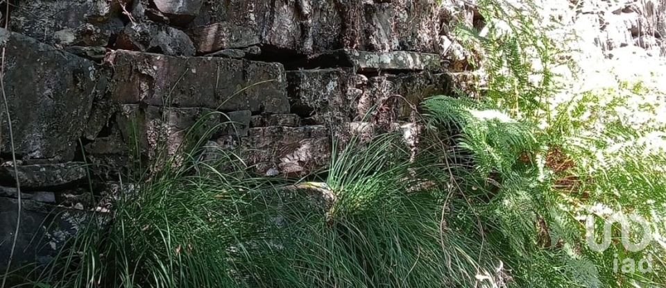 Lodge T0 in Pedrógão Grande of 50 m²