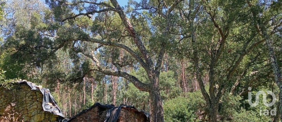 Lodge T0 in Pedrógão Grande of 50 m²