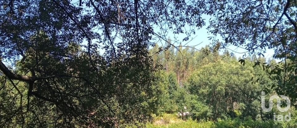 Lodge T0 in Pedrógão Grande of 50 m²