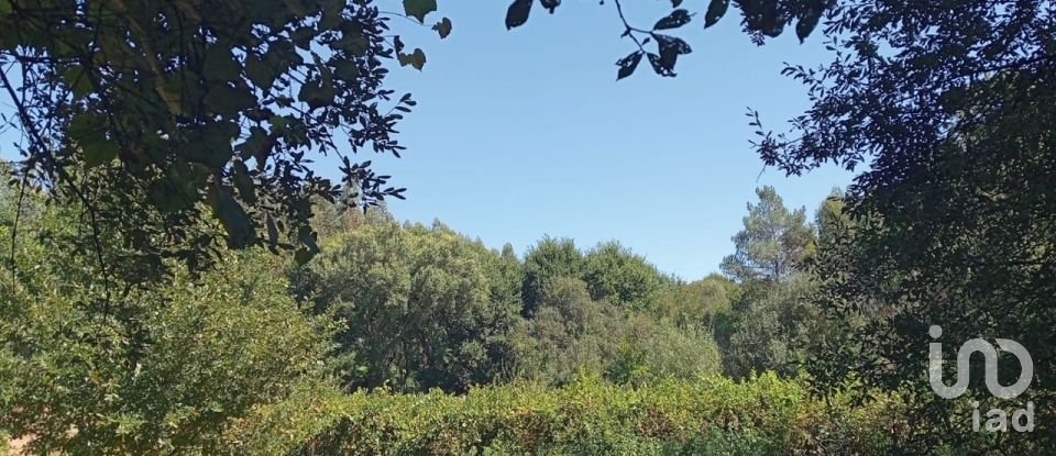 Lodge T0 in Pedrógão Grande of 50 m²