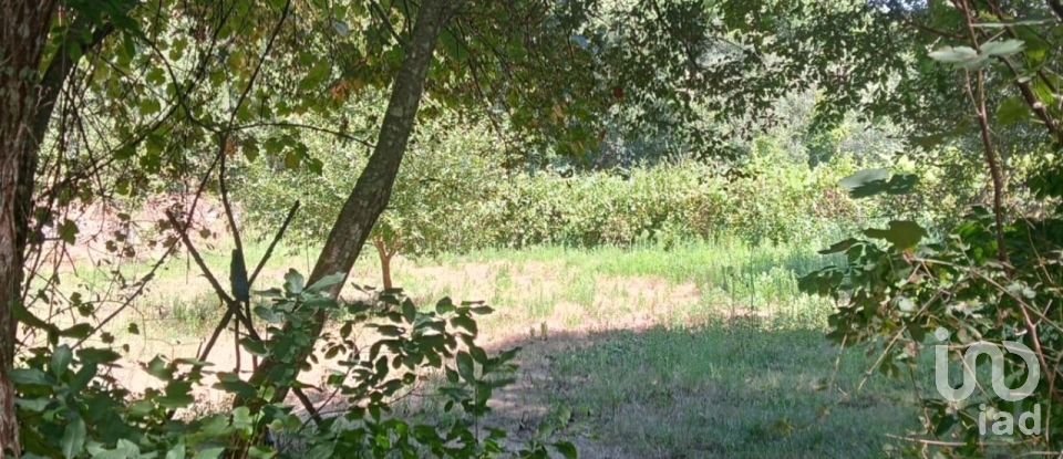 Lodge T0 in Pedrógão Grande of 50 m²