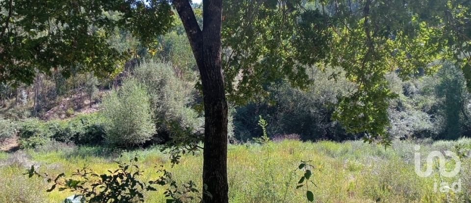 Lodge T0 in Pedrógão Grande of 50 m²