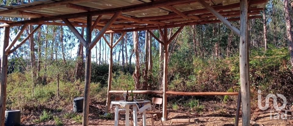 Lodge T0 in Pedrógão Grande of 50 m²