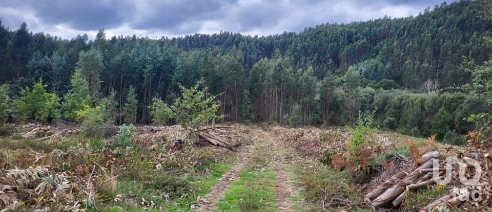 Lodge T0 in Pedrógão Grande of 50 m²