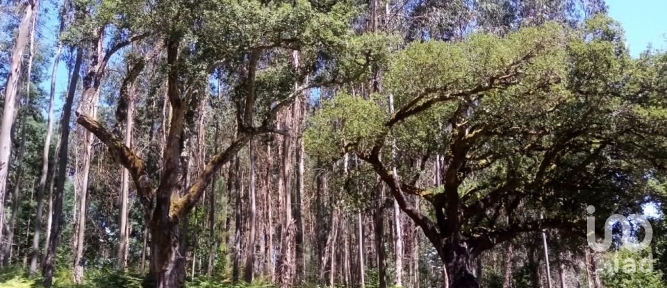 Lodge T0 in Pedrógão Grande of 50 m²