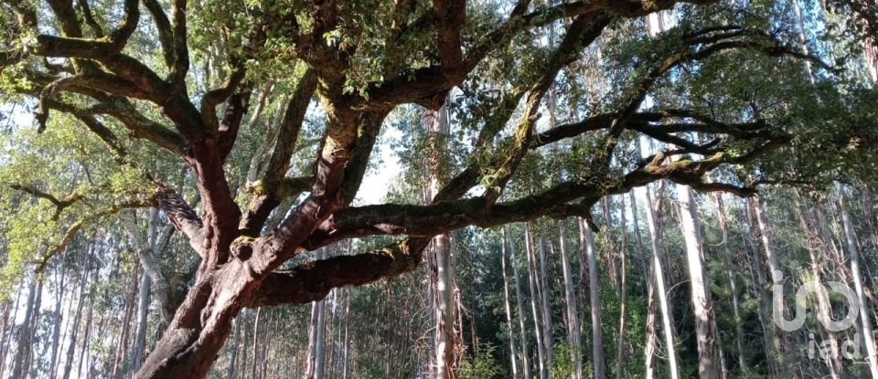 Lodge T0 in Pedrógão Grande of 50 m²