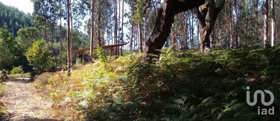 Lodge T0 in Pedrógão Grande of 50 m²