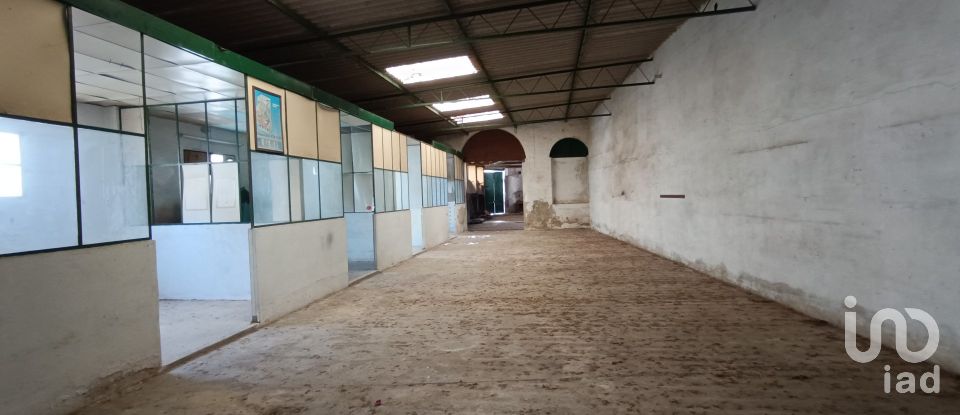 Land in Alenquer (Santo Estêvão e Triana) of 950 m²