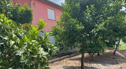 Gîte T2 à Rendufinho de 200 m²