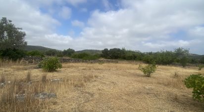Land in São Brás de Alportel of 10,000 m²