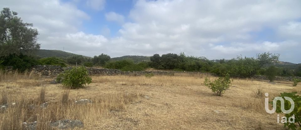 Terrain à São Brás de Alportel de 10 000 m²