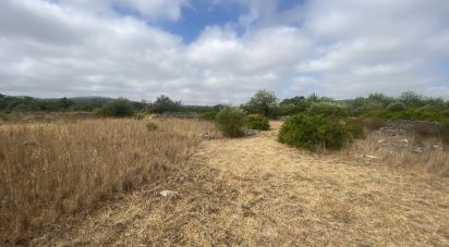 Land in São Brás de Alportel of 10,000 m²