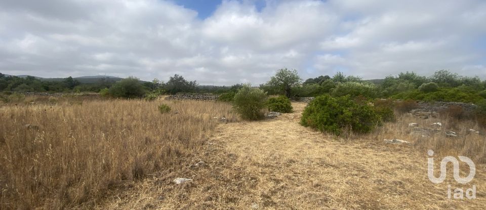 Terrain à São Brás de Alportel de 10 000 m²