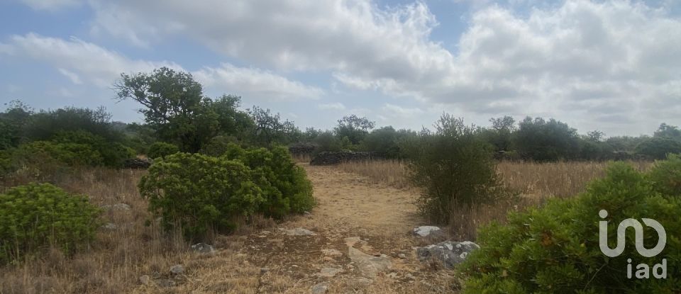 Terrain à São Brás de Alportel de 10 000 m²