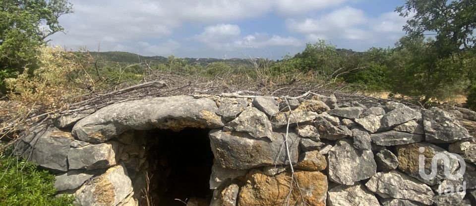 Terrain à São Brás de Alportel de 10 000 m²