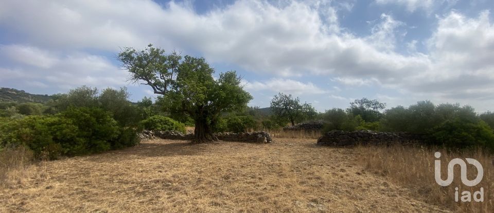 Terrain à São Brás de Alportel de 10 000 m²