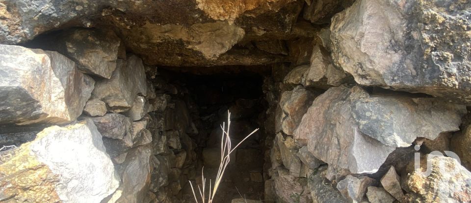 Terrain à São Brás de Alportel de 10 000 m²