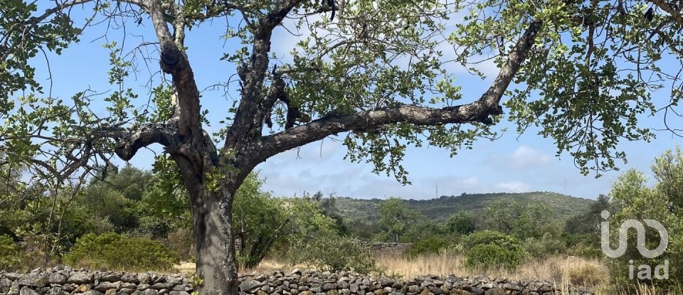 Terrain à São Brás de Alportel de 10 000 m²