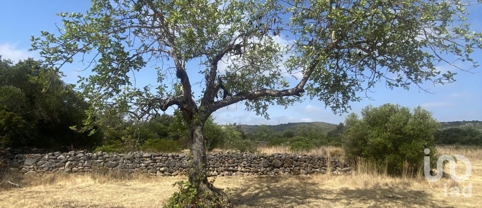 Terrain à São Brás de Alportel de 10 000 m²