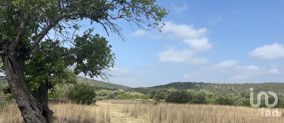 Terrain à São Brás de Alportel de 10 000 m²