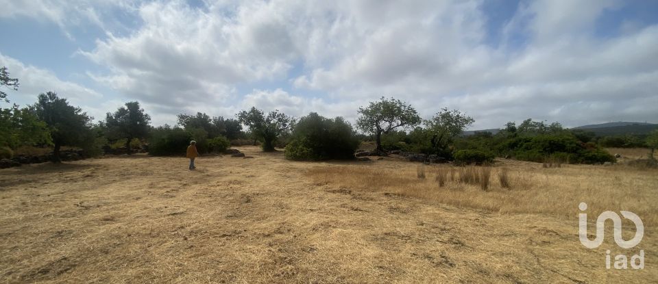 Terrain à São Brás de Alportel de 10 000 m²