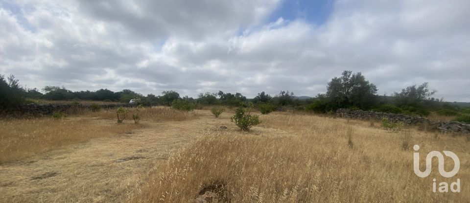 Terrain à São Brás de Alportel de 10 000 m²