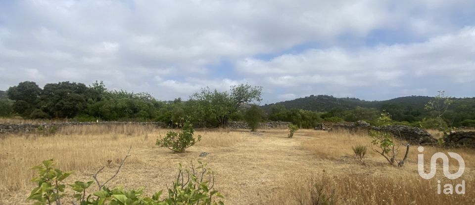 Terrain à São Brás de Alportel de 10 000 m²