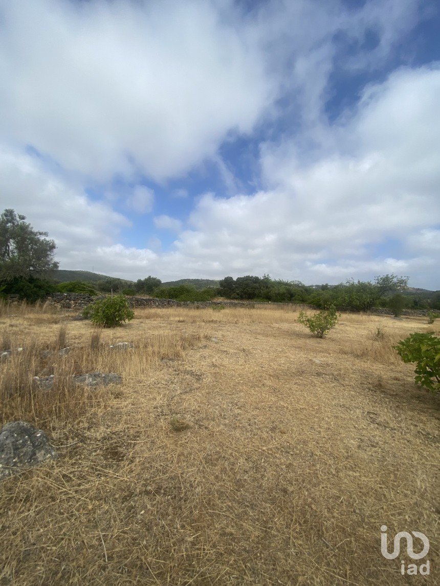 Terrain à São Brás de Alportel de 10 000 m²
