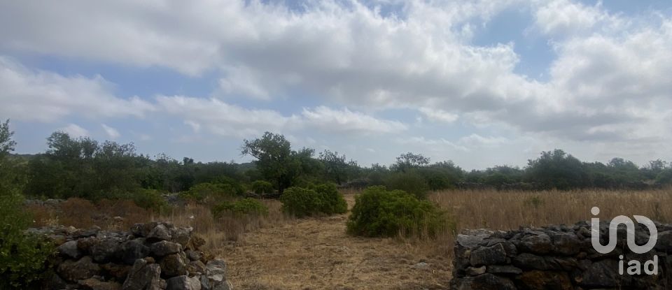 Terrain à São Brás de Alportel de 10 000 m²