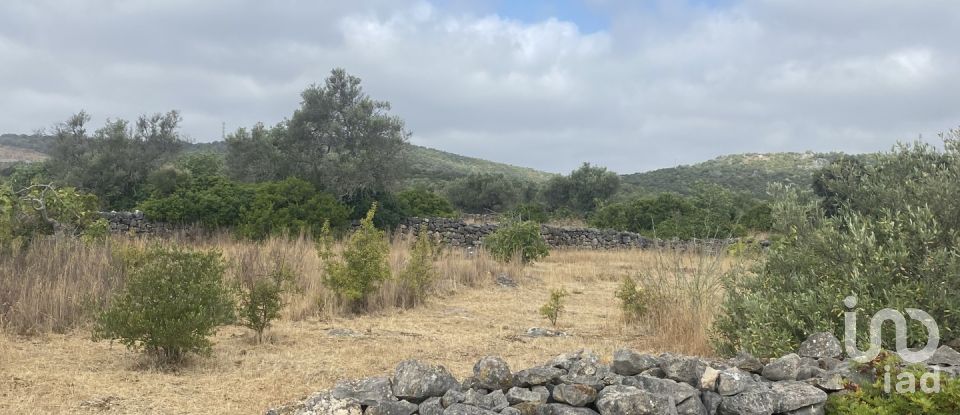 Terrain à São Brás de Alportel de 10 000 m²