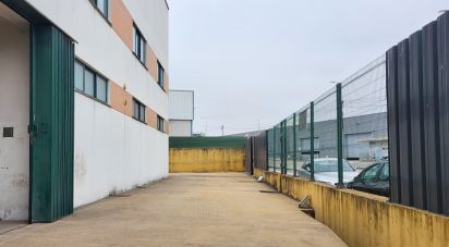 Pavillon T0 à Oiã de 569 m²