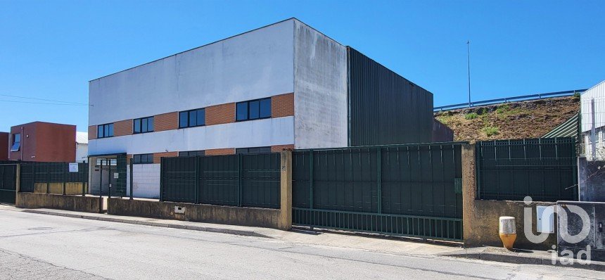 Armazém T0 em Oiã de 569 m²
