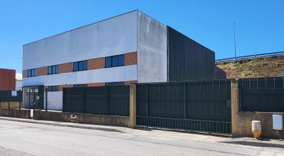 Pavillon T0 à Oiã de 569 m²