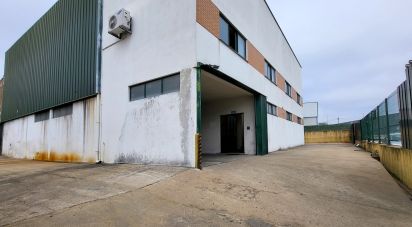 Pavillon T0 à Oiã de 569 m²