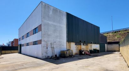 Pavillon T0 à Oiã de 569 m²