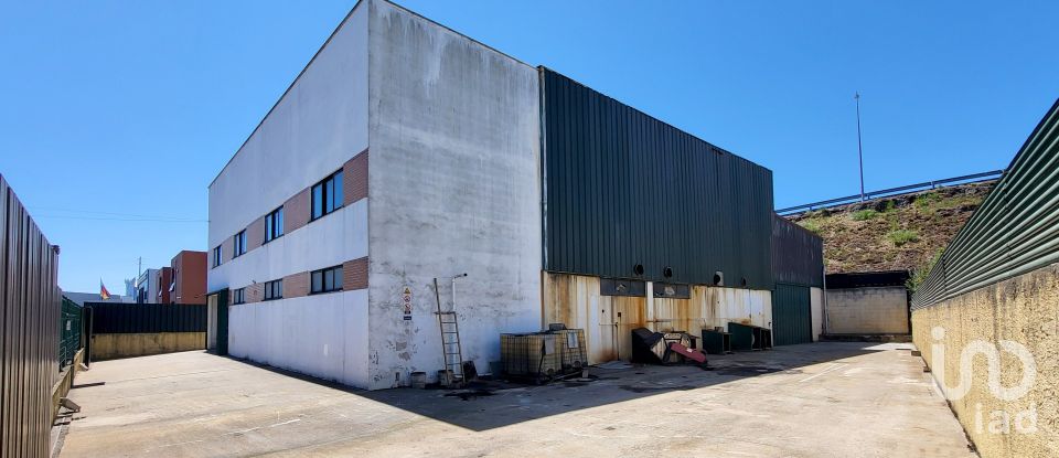 Armazém T0 em Oiã de 569 m²