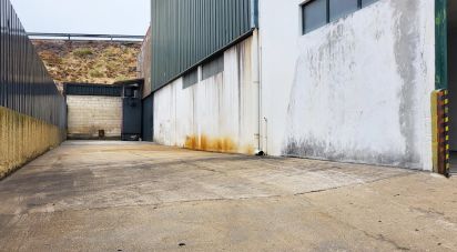 Pavillon T0 à Oiã de 569 m²