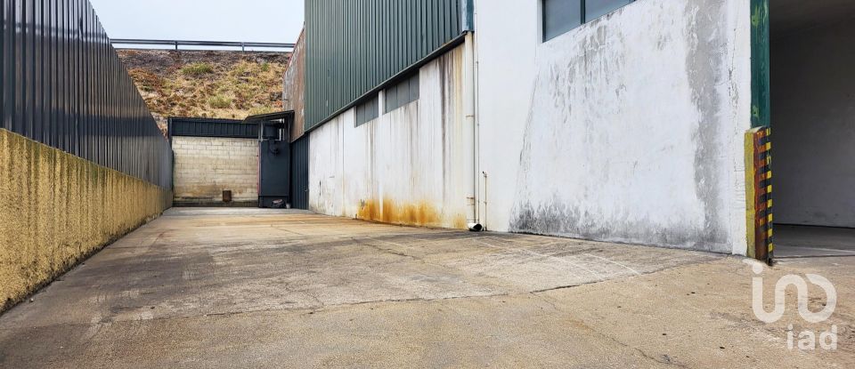 Armazém T0 em Oiã de 569 m²