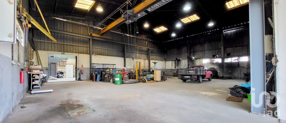 Armazém T0 em Oiã de 569 m²