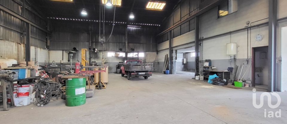 Armazém T0 em Oiã de 569 m²