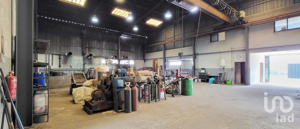Armazém T0 em Oiã de 569 m²