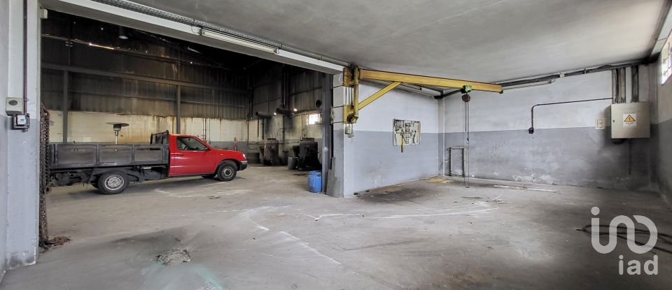 Armazém T0 em Oiã de 569 m²