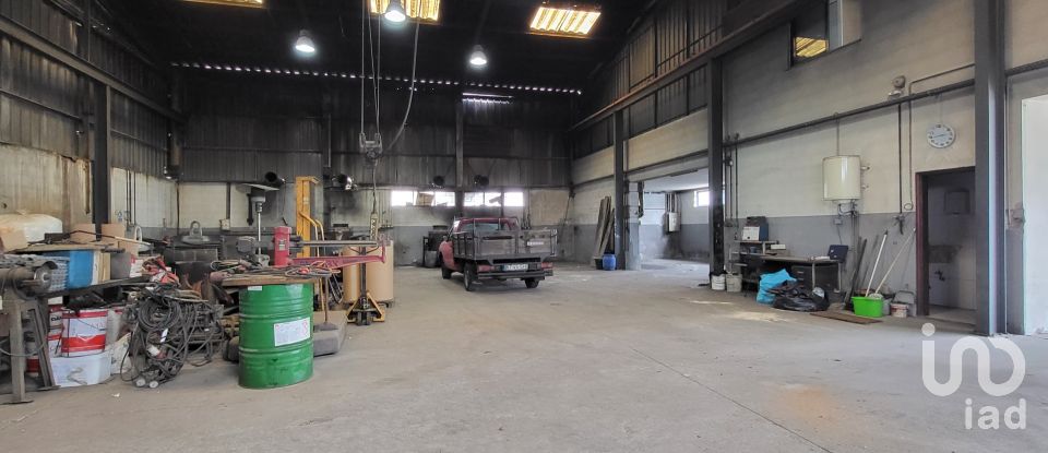Armazém T0 em Oiã de 569 m²