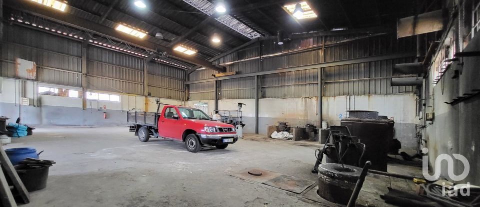 Armazém T0 em Oiã de 569 m²