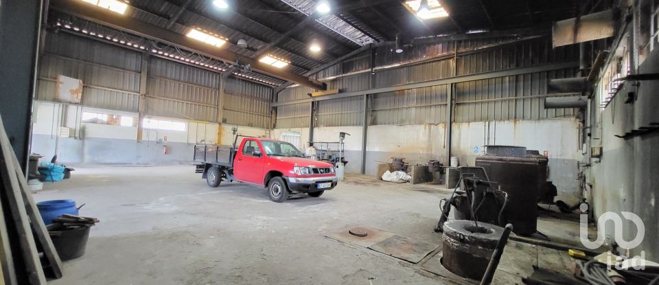 Armazém T0 em Oiã de 569 m²