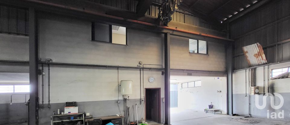 Armazém T0 em Oiã de 569 m²